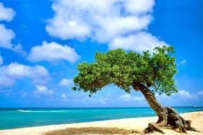 2026世界杯揭幕战倒计时 30 天：墨西哥阿兹特克球场今日开启最后修缮。